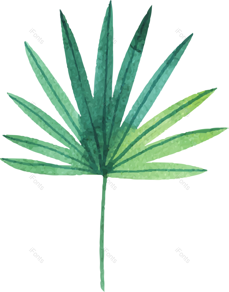 插画图片,节日素材元素,绿色植物PNG,小清新免抠素材